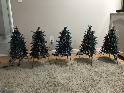 Trees, Trees, & More&nbsp;Trees