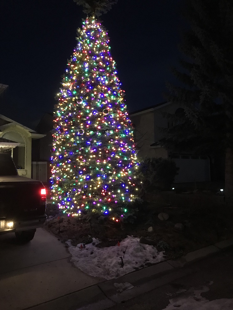 20171126_003256214_iOS