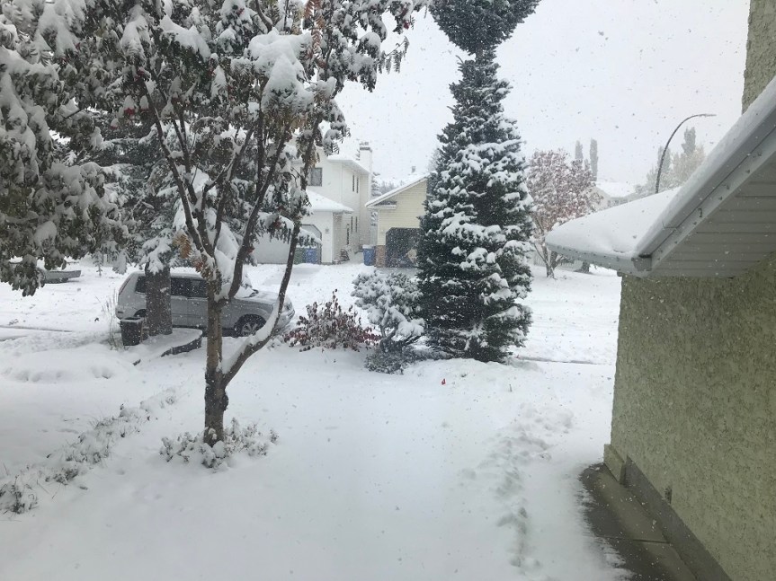 Let it snow, let it snow, let it&nbsp;snow