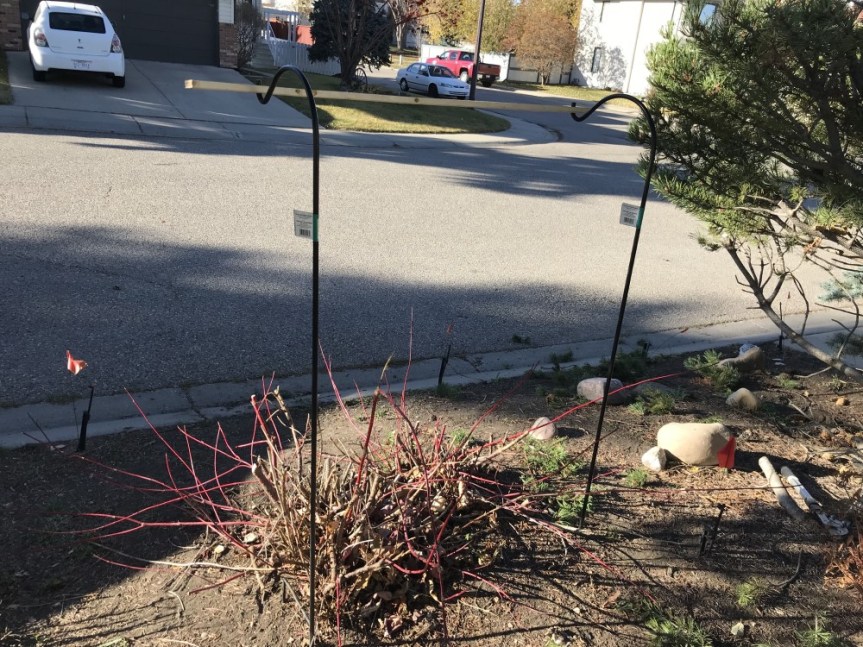 20181027_213930015_iOS