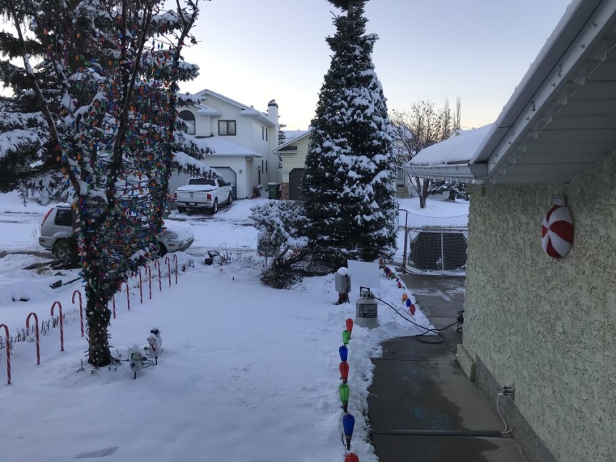 20181124_231730639_iOS