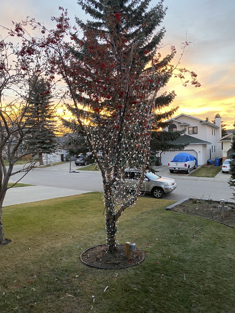 450 RGB,  640 LEDs, 900 net twinkle lights